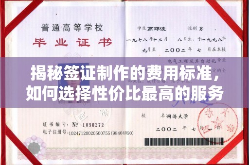 大埤揭秘签证制作的费用标准，如何选择性价比最高的服务？