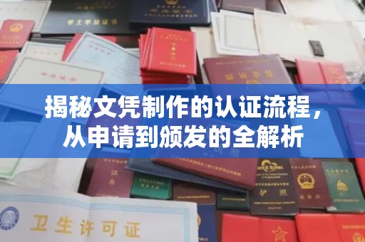 大埤揭秘文凭制作的认证流程，从申请到颁发的全解析