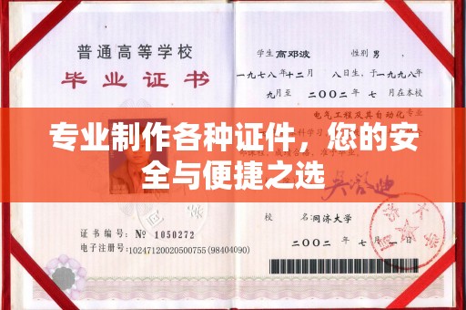 大埤专业制作各种证件，您的安全与便捷之选