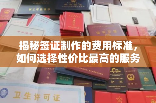 大埤揭秘签证制作的费用标准，如何选择性价比最高的服务？