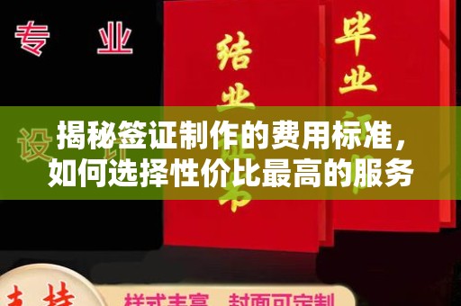 大埤揭秘签证制作的费用标准，如何选择性价比最高的服务？