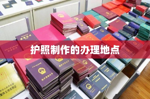 大埤护照制作的办理地点
